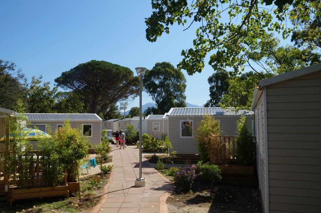 Camping International Calvi  Exteriör bild