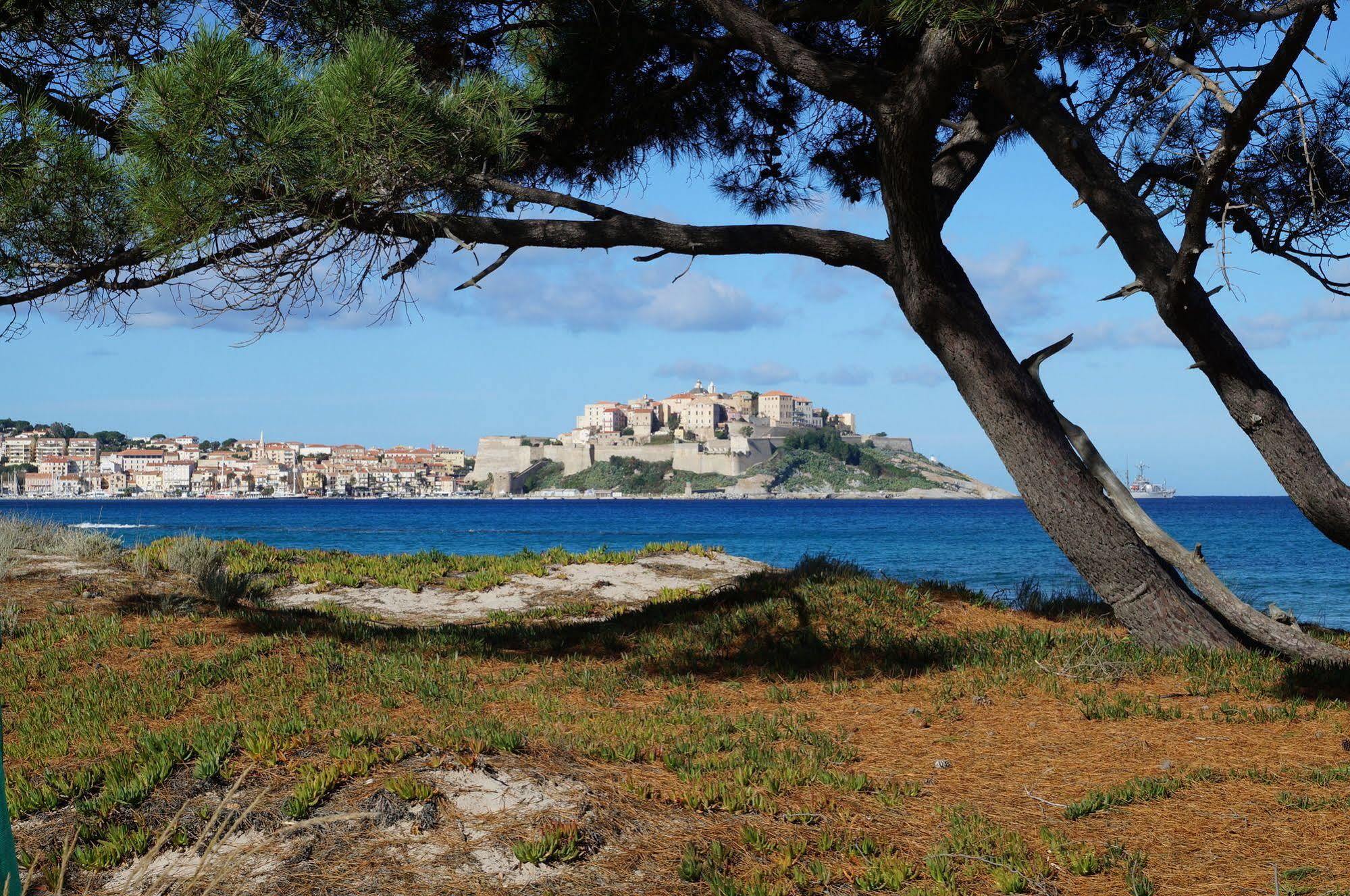 Camping International Calvi  Exteriör bild