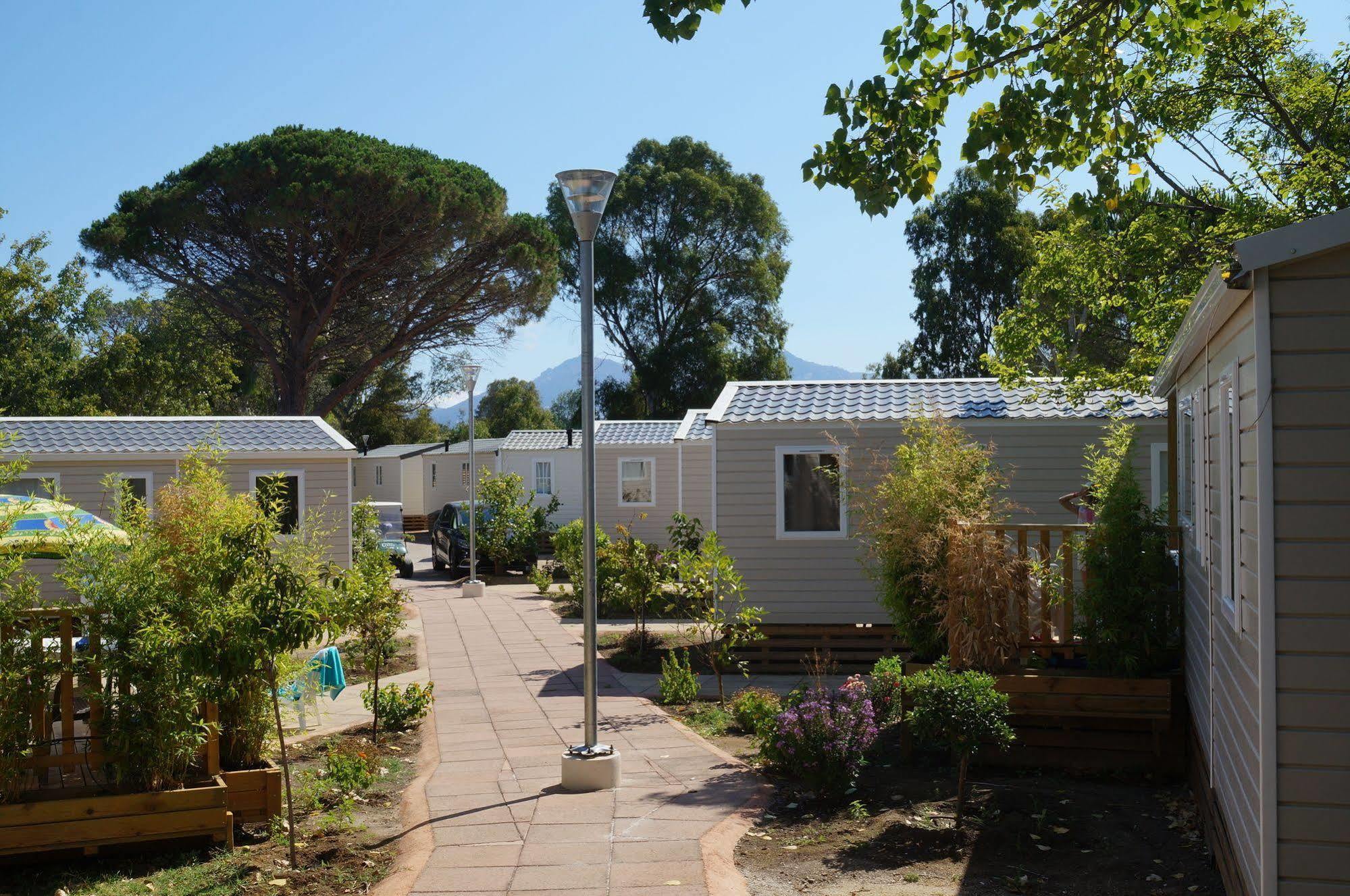 Camping International Calvi  Exteriör bild